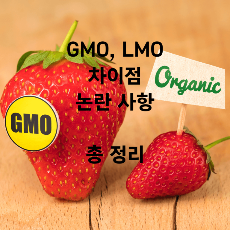 GMO LMO 뜻과 차이점 예시 표시방법