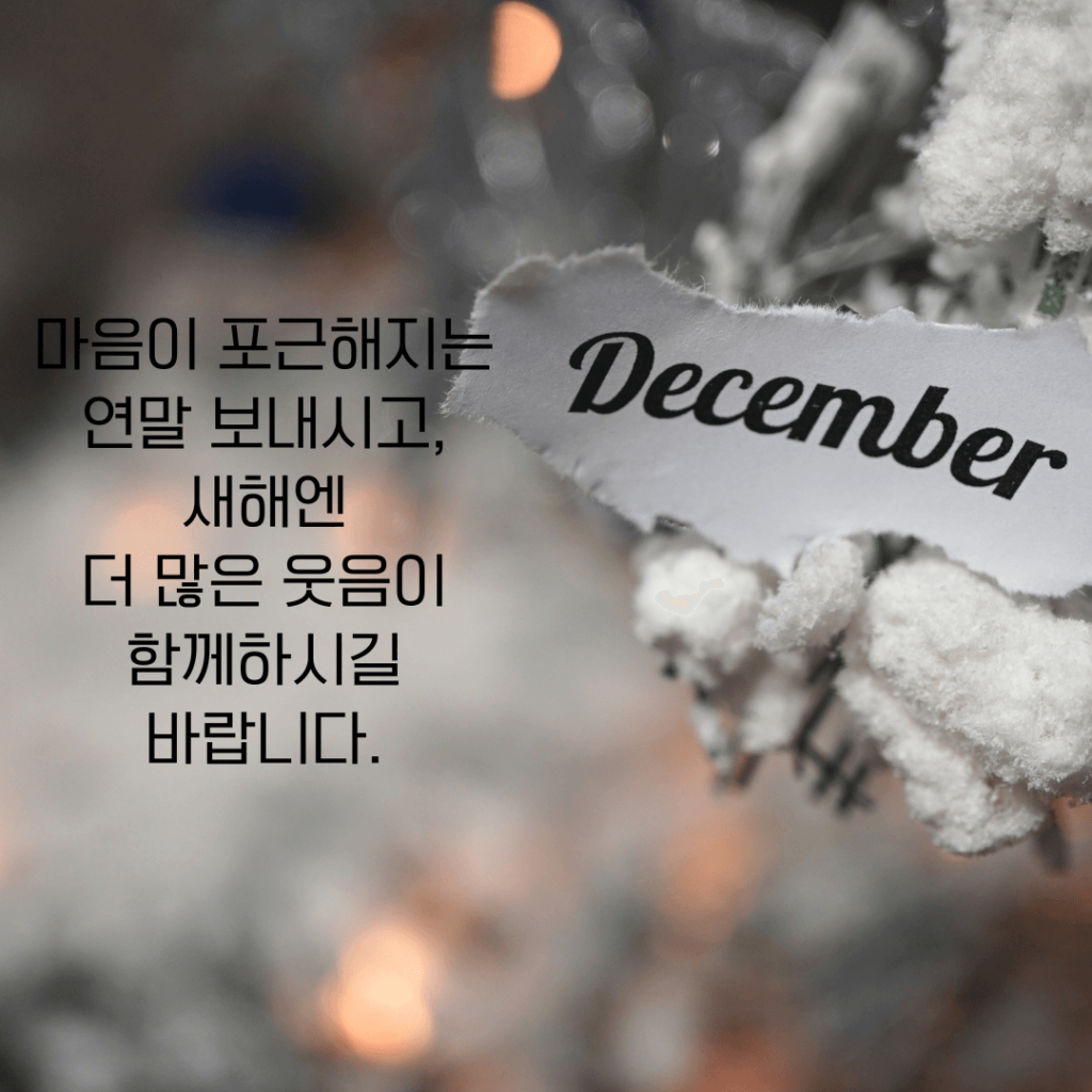 12월 연말 사진, 안부 카톡 사진 공유4